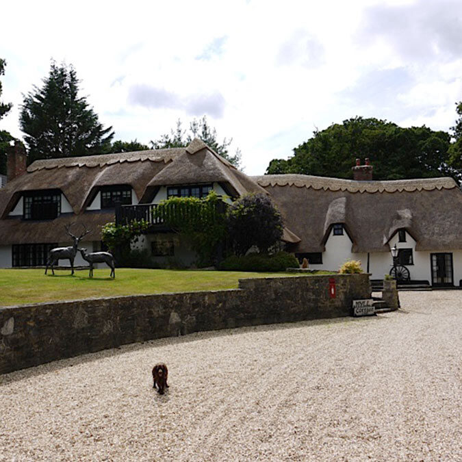 New-Forest-Thatchers8