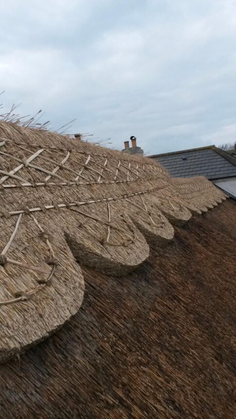 New Forest Thatchers