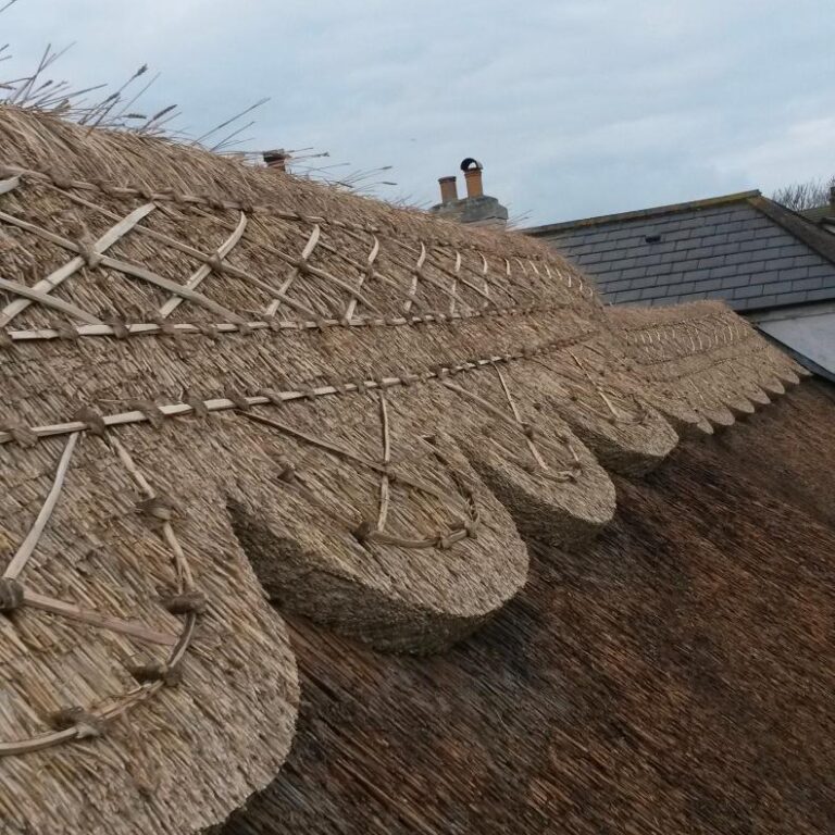 New Forest Thatchers