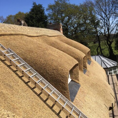 New Forest Thatchers