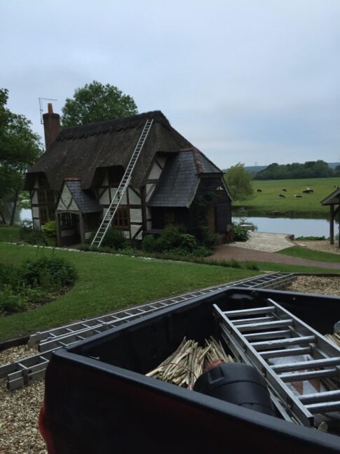 New Forest Thatchers