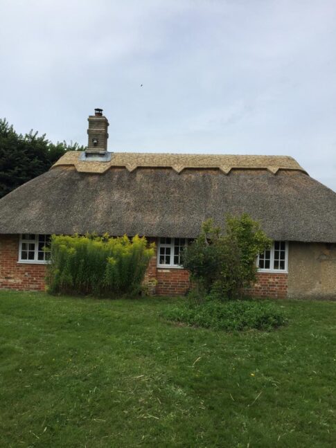 New Forest Thatchers