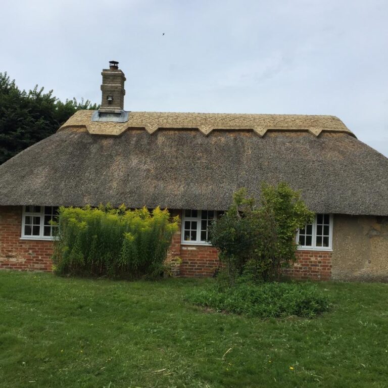 New Forest Thatchers