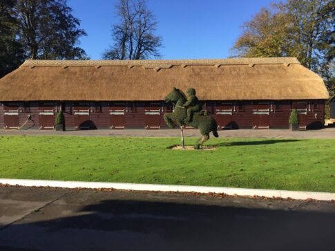 New Forest Thatchers