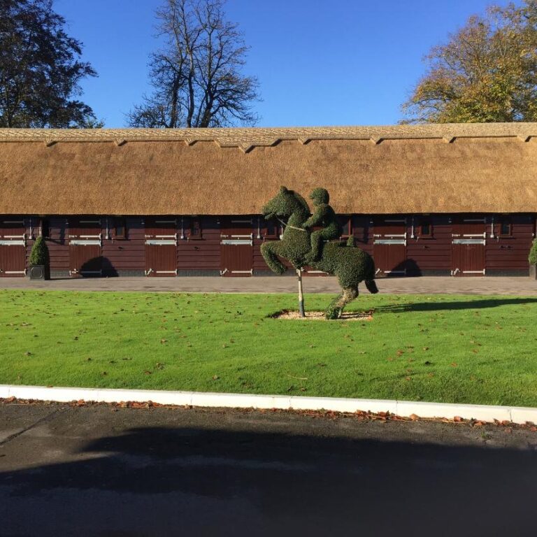 New Forest Thatchers