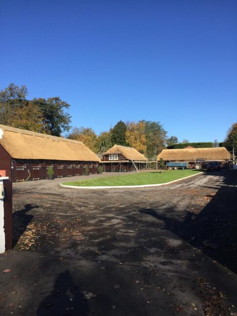 New Forest Thatchers