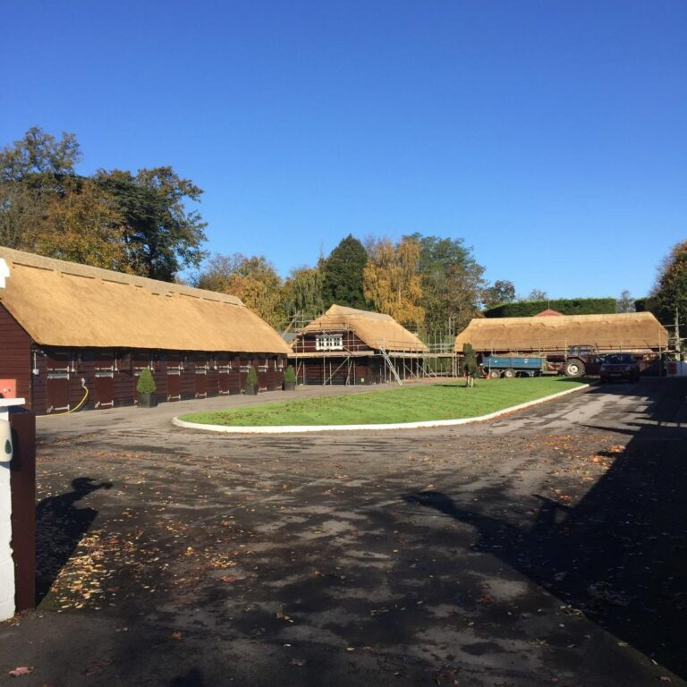 New Forest Thatchers