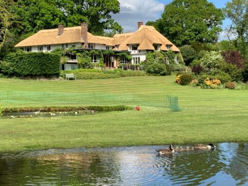 New Forest Thatchers