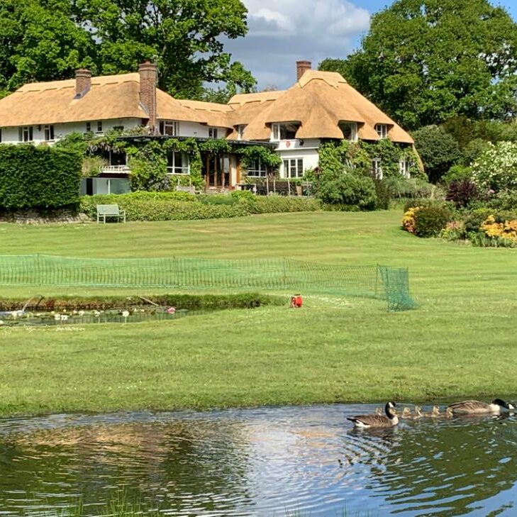 New Forest Thatchers