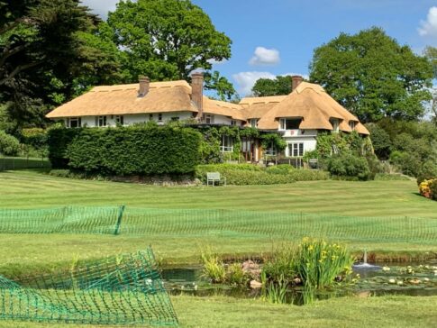 New Forest Thatchers