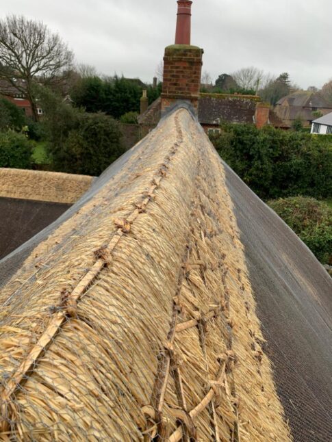 New Forest Thatchers