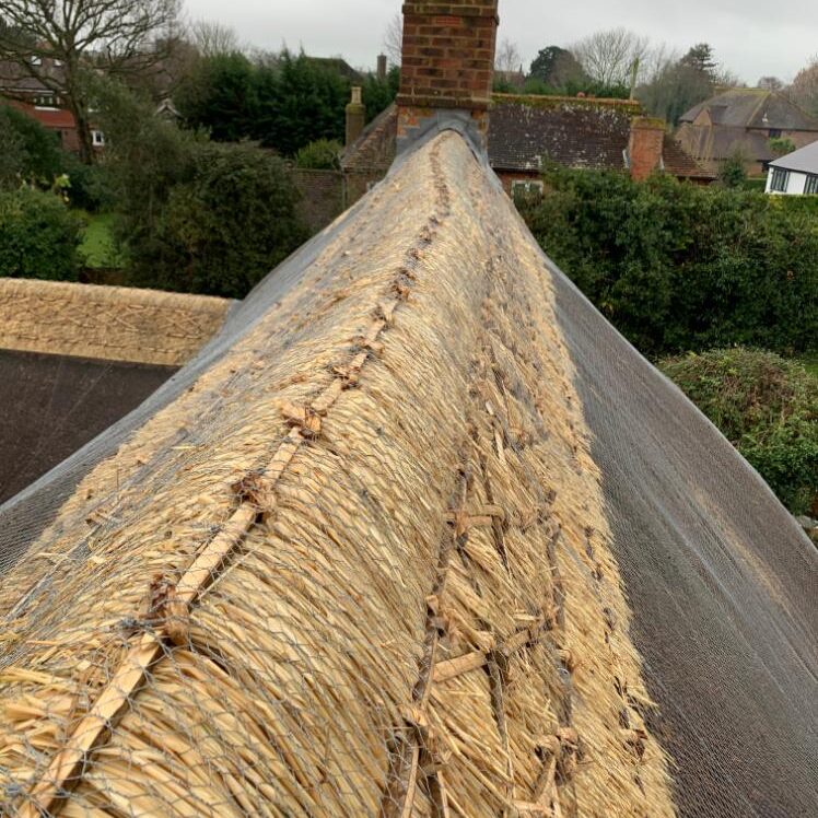 New Forest Thatchers