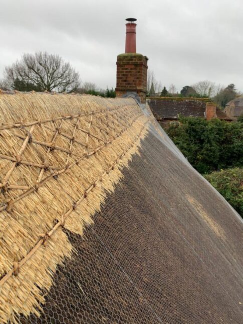 New Forest Thatchers