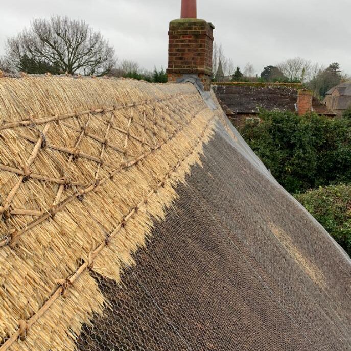 New Forest Thatchers