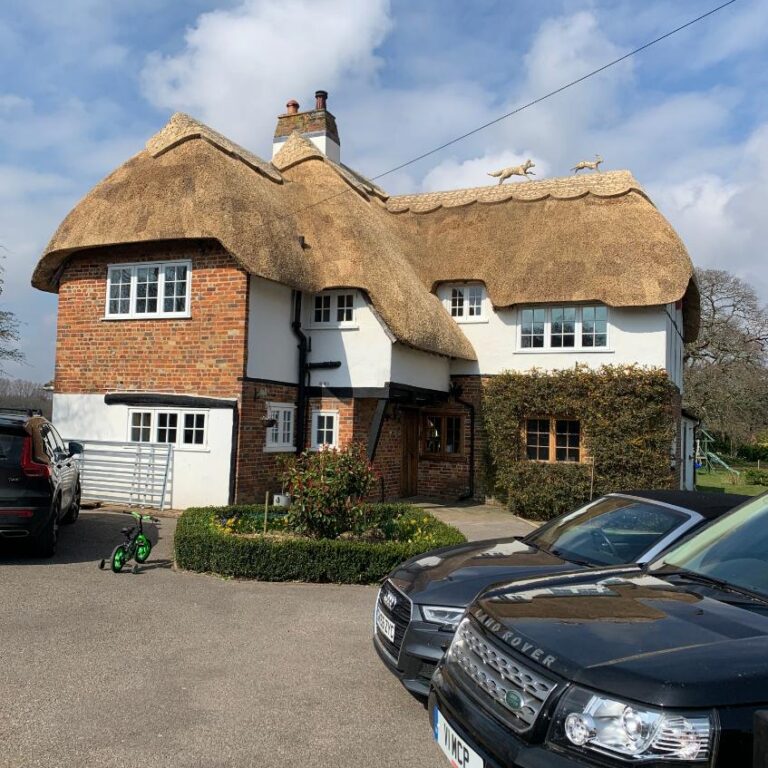 New Forest Thatchers