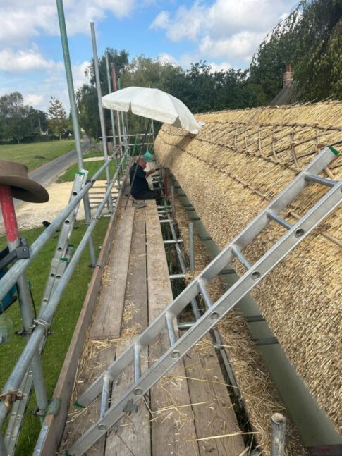 New Forest Thatchers