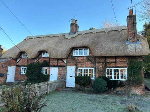 New Forest Thatchers