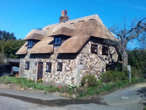 New Forest Thatchers