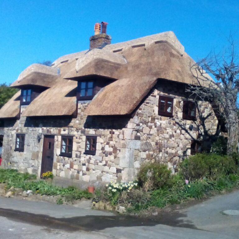 New Forest Thatchers