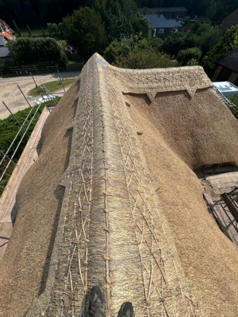 New Forest Thatchers