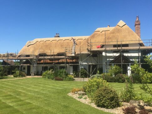 New Forest Thatchers