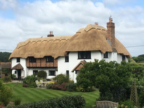 New Forest Thatchers