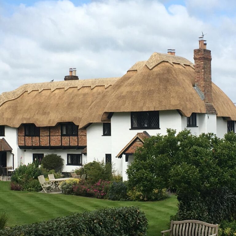 New Forest Thatchers