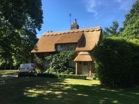 New Forest Thatchers