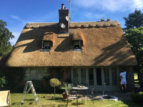 New Forest Thatchers