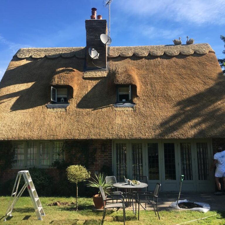 New Forest Thatchers