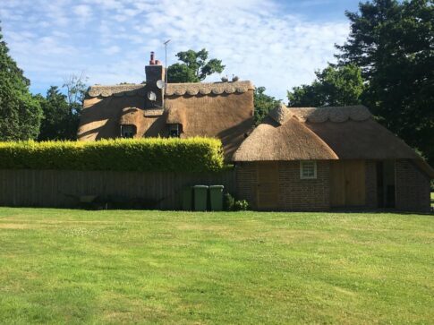New Forest Thatchers