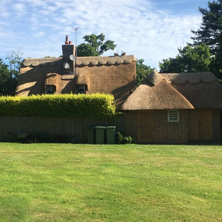 New Forest Thatchers