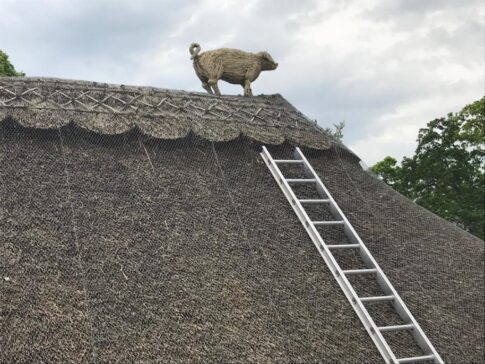 New Forest Thatchers