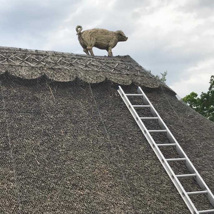 New Forest Thatchers