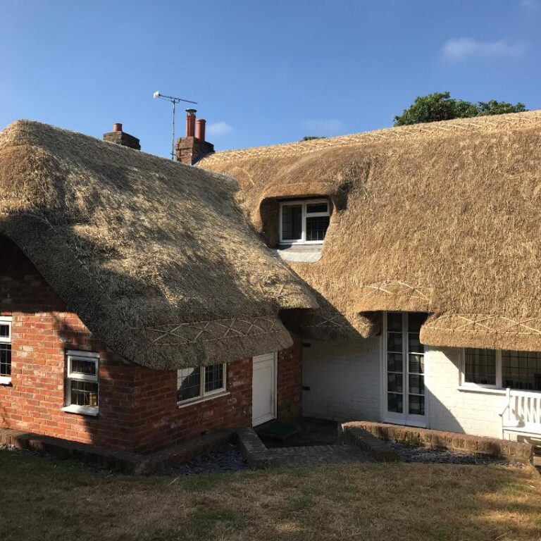 New Forest Thatchers