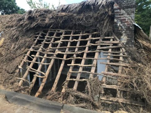 New Forest Thatchers