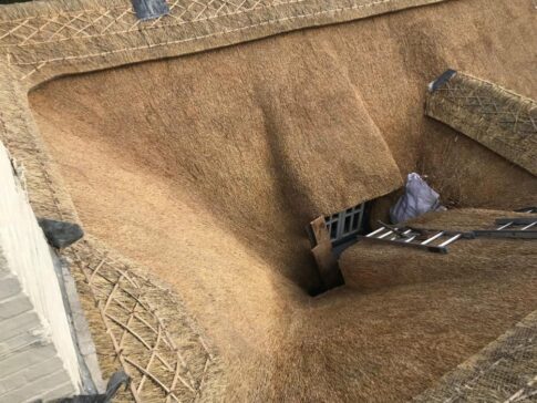 New Forest Thatchers