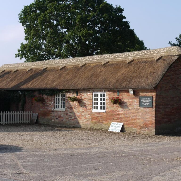 New Forest Thatchers