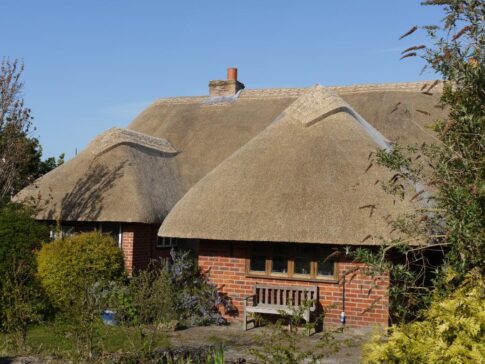New Forest Thatchers