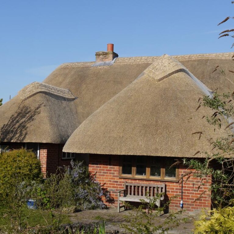 New Forest Thatchers