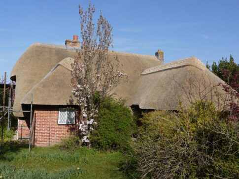 New Forest Thatchers