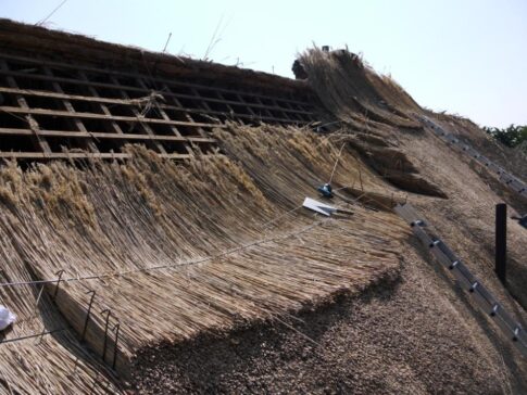 New Forest Thatchers