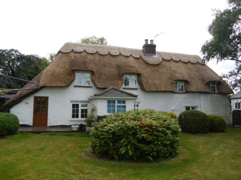 New Forest Thatchers