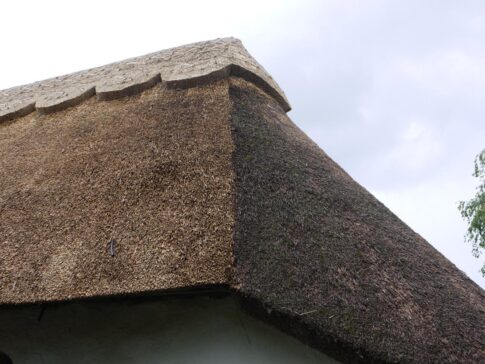 New Forest Thatchers