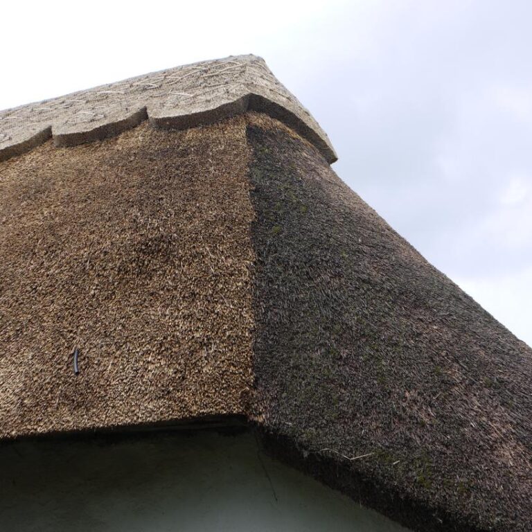 New Forest Thatchers