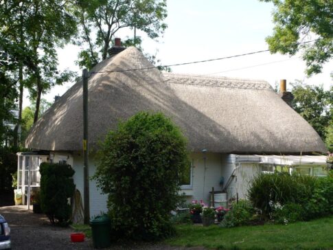 New Forest Thatchers