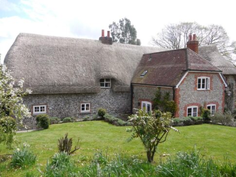 New Forest Thatchers