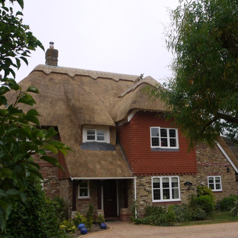 New Forest Thatchers