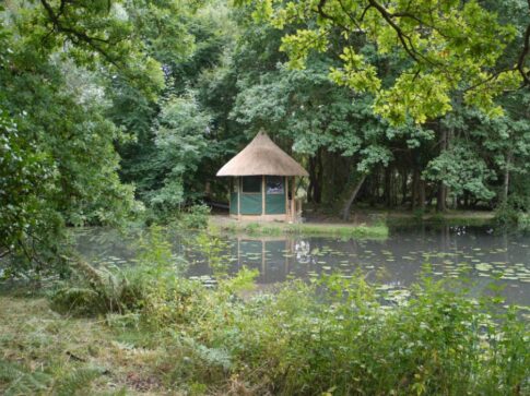 New Forest Thatchers