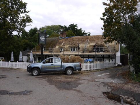 New Forest Thatchers